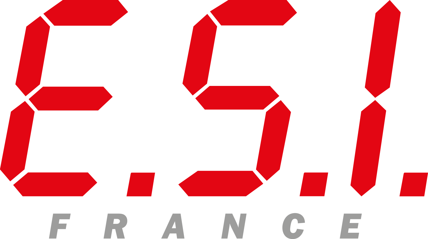 ESI FRANCE