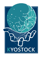 Kyostock