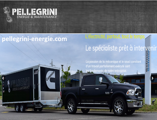 https://pellegrini-energie.com/